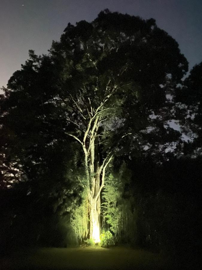 Recanto da Floresta - Casa de campo em Secretário Petrópolis Exterior foto