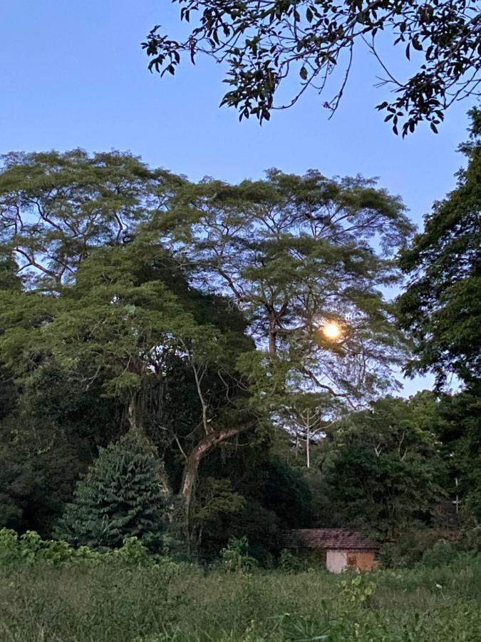 Recanto da Floresta - Casa de campo em Secretário Petrópolis Exterior foto
